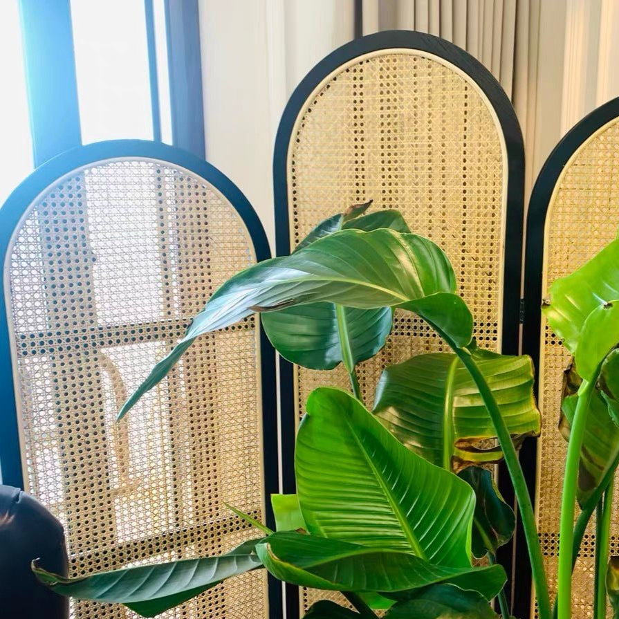 Foldable Rattan Privacy Divider