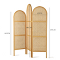 Foldable Rattan Privacy Divider